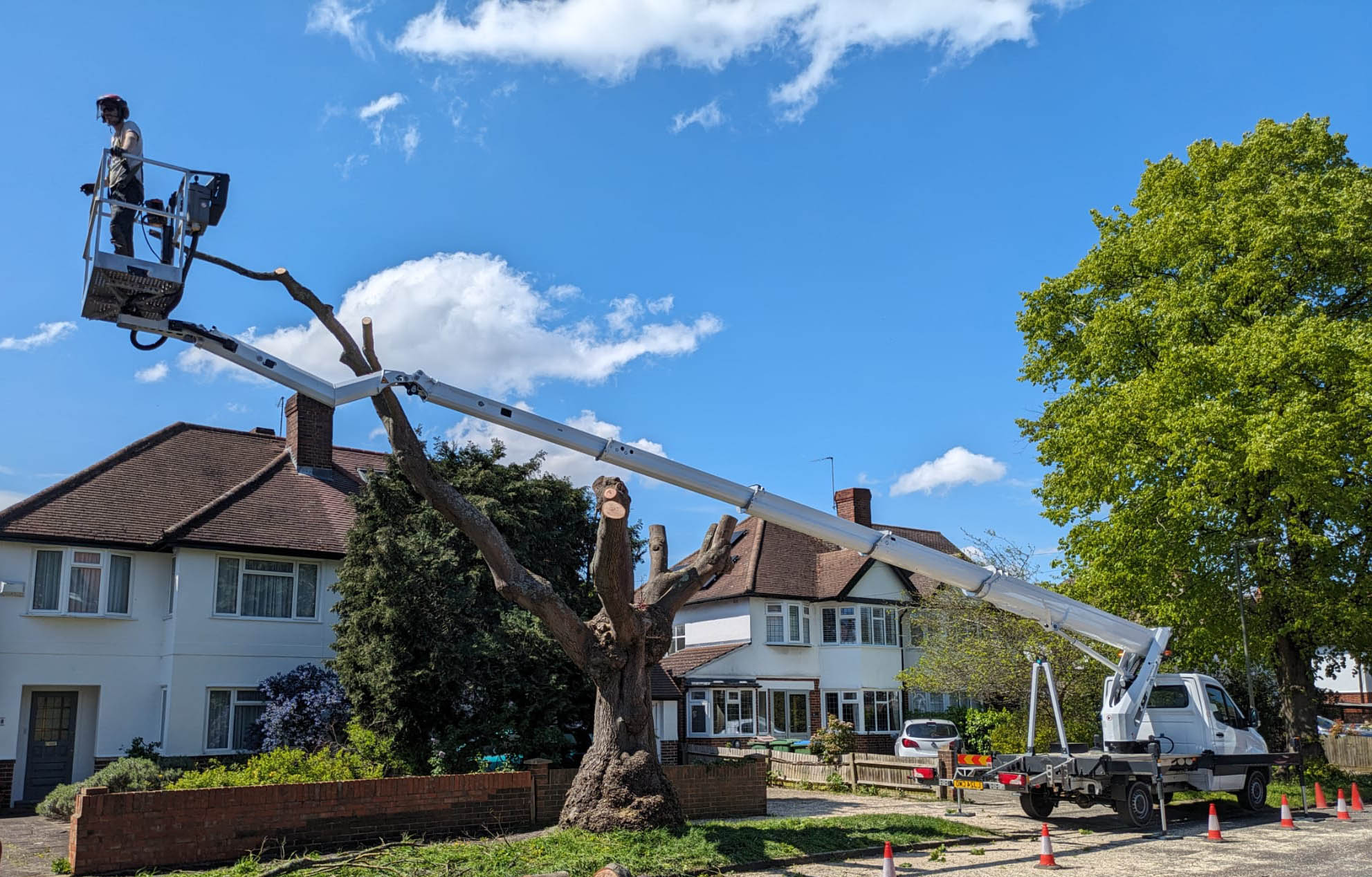 tree surgeons hero