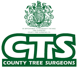 County Tree Surgeons